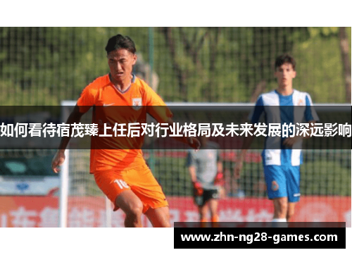 如何看待宿茂臻上任后对行业格局及未来发展的深远影响