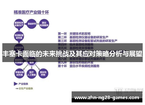 丰塞卡面临的未来挑战及其应对策略分析与展望 丰塞卡面临的未来挑战及其应对策略分析与展望