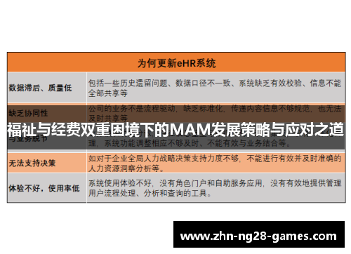 福祉与经费双重困境下的MAM发展策略与应对之道