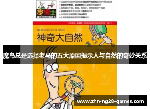 魔鸟总是选择老马的五大原因揭示人与自然的奇妙关系
