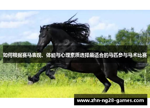 如何根据赛马表现、体能与心理素质选择最适合的马匹参与马术比赛