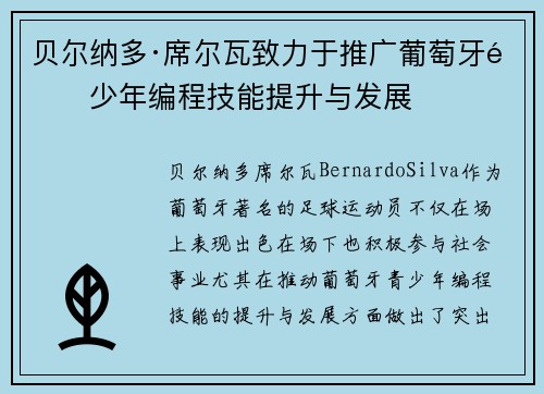 贝尔纳多·席尔瓦致力于推广葡萄牙青少年编程技能提升与发展
